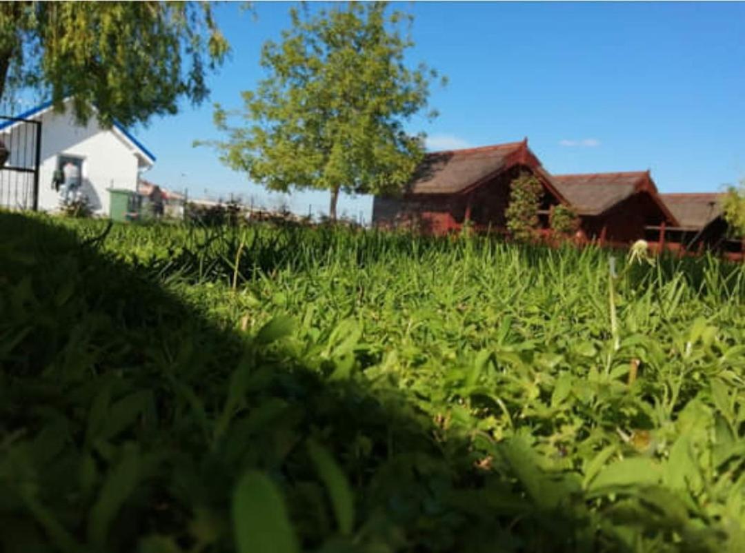 Pensiunea La Tavi Murighiol Exterior foto