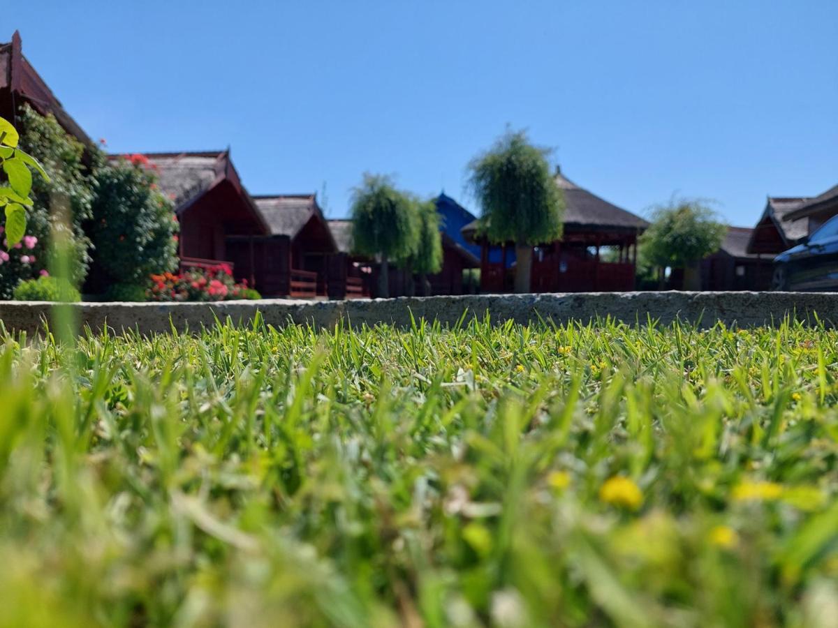 Pensiunea La Tavi Murighiol Exterior foto