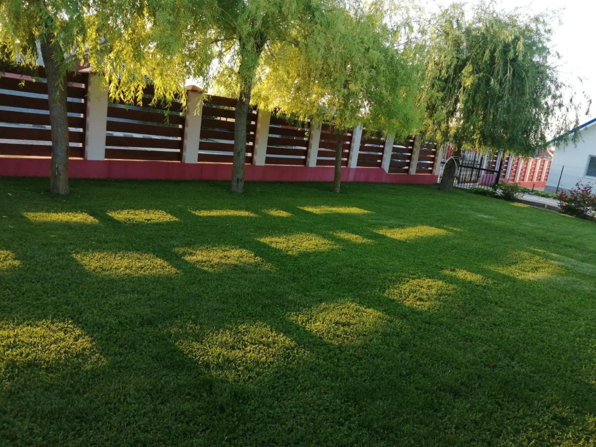 Pensiunea La Tavi Murighiol Exterior foto